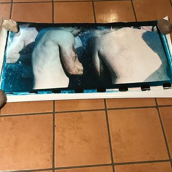 Janine Gordon Color Photograph Mural Spartan Race Showers 48"x20" 2/10 Signed - Picture 3 of 5